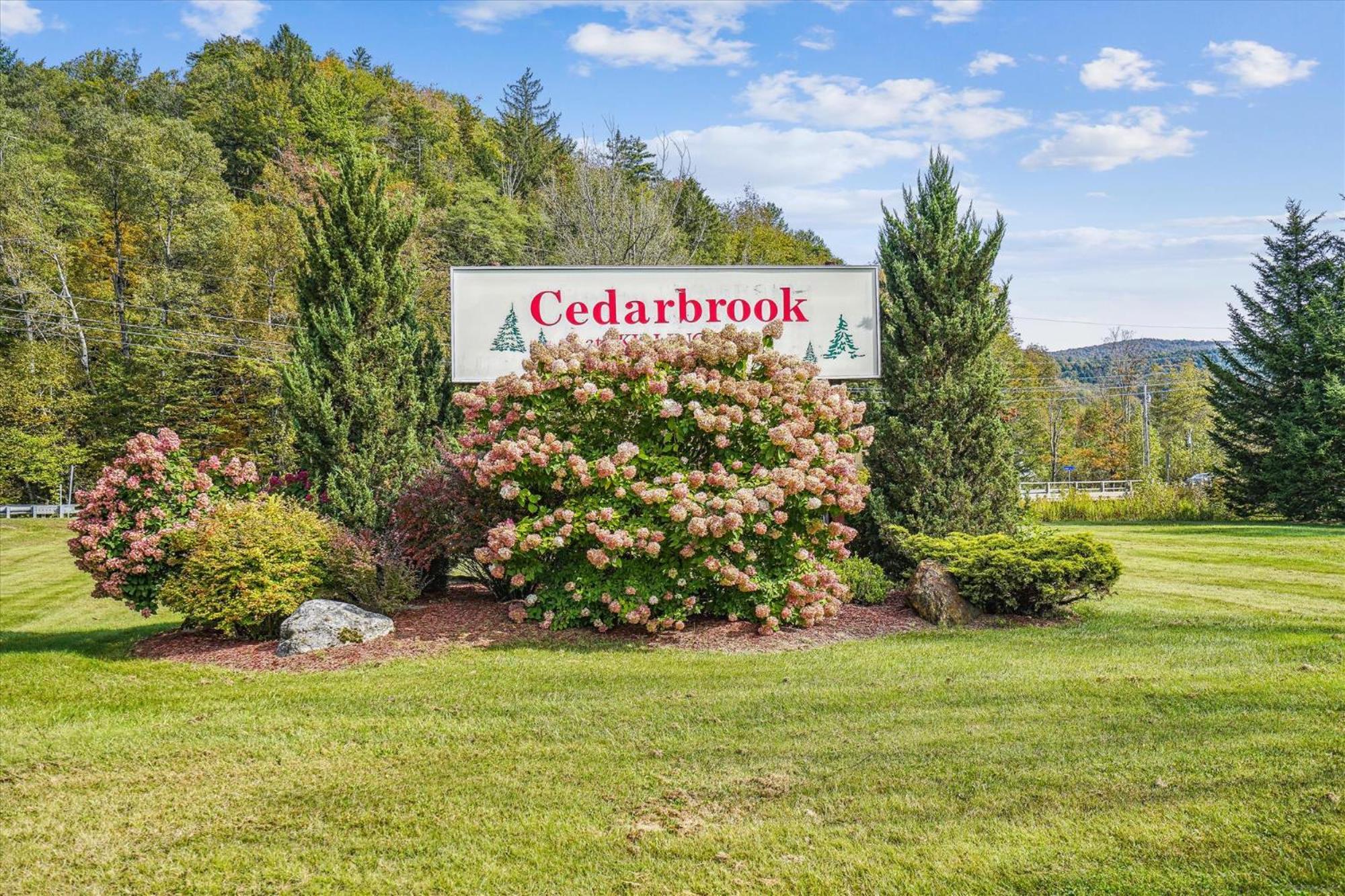 Cedarbrook Queen Suite 106 キリングトン エクステリア 写真